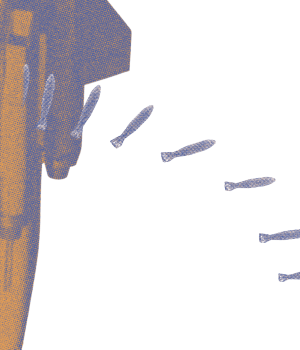 IMG-2025-1-035 - Copy